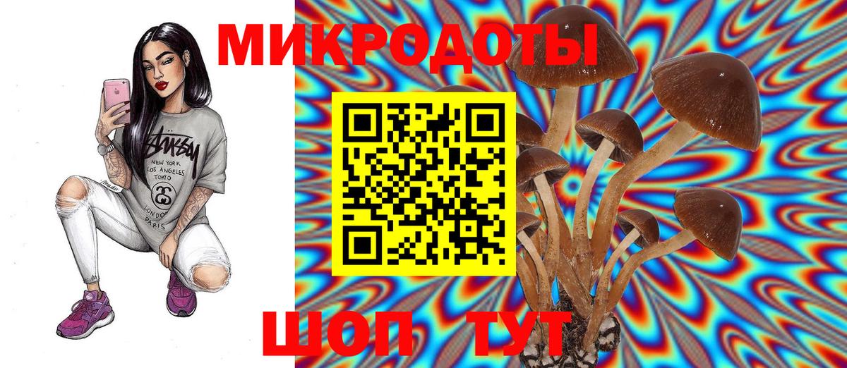 Минусинск  Галлюциногенные грибы мухоморы  Вход с VPN 