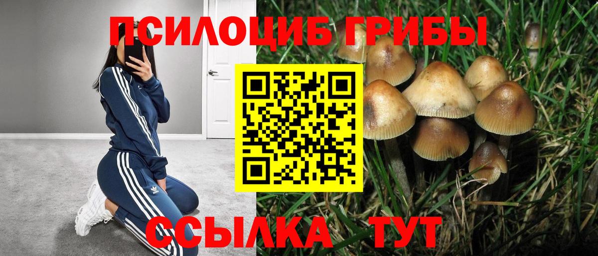 Галлюциногенные грибы GOLDEN TEACHER Минусинск
